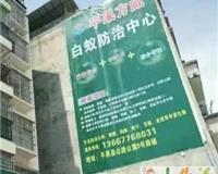广西其他生活服务